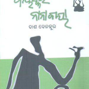 Bayaskara Nanabaya